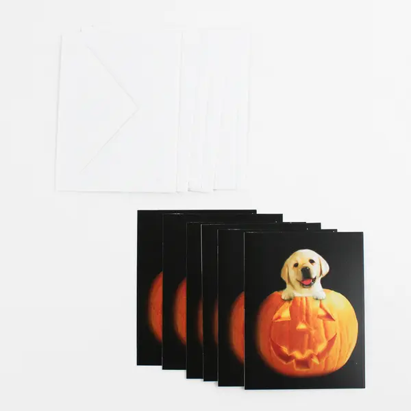 Lot of 13 Halloween Greeting Cards with Envelopes