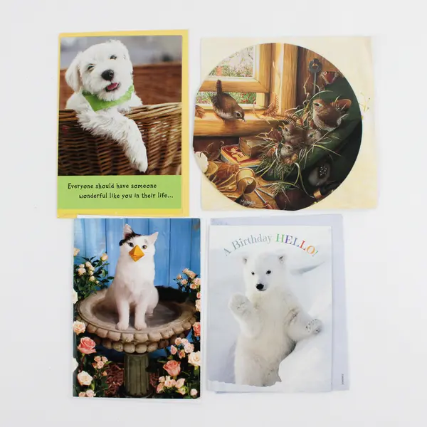 Lot of 17 Birthday Cards with Envelopes General Recipient