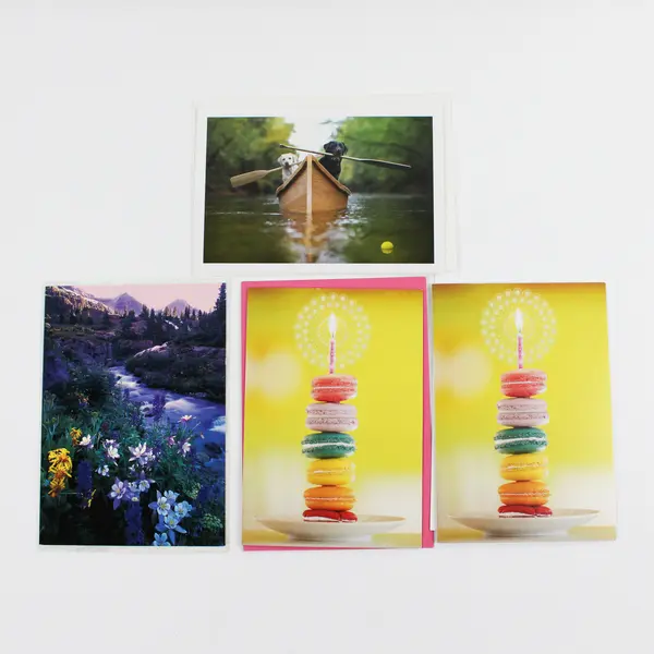 Lot of 17 Birthday Cards with Envelopes General Recipient