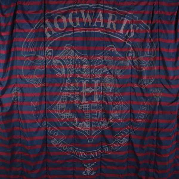 Harry Potter Hogwarts Twin Reversible Comforter in Storage Bag