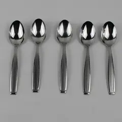 Lot Of 5 Oneida Silver Satin Shasta (Stainless) Flatware Soup Spoons 7" Long