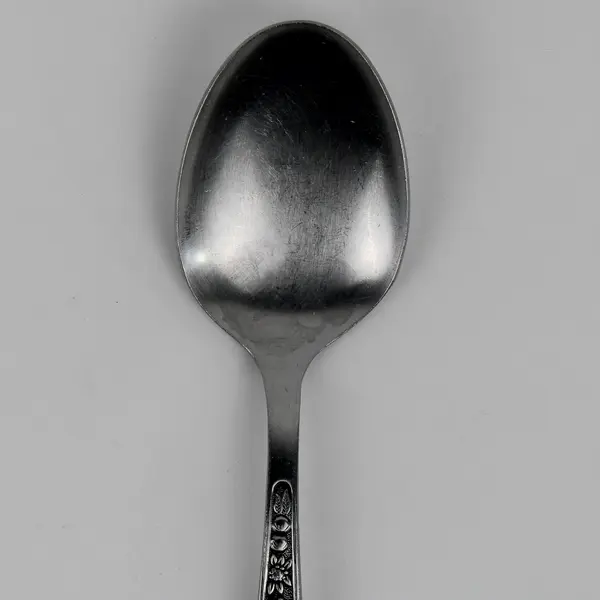 Pageant Harvest Pattern Stainless Black Accent Serving Spoon 8.5" Hard To Find 