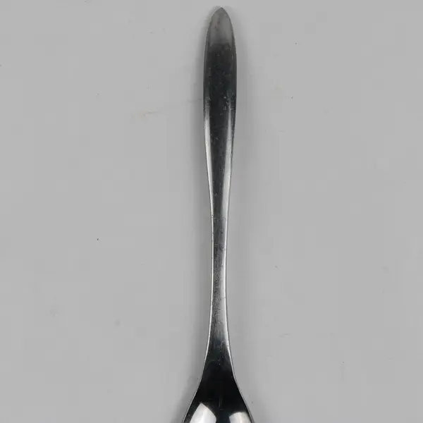 Rare Collectable Playboy Brand Silverware Stainless Teaspoon 6.75" Engraved Back