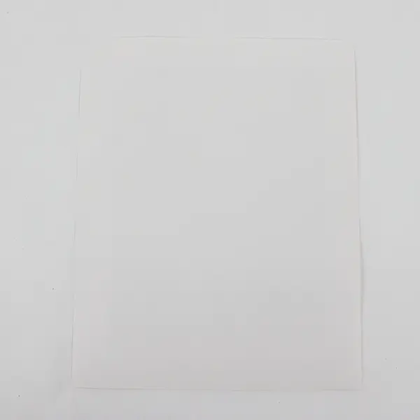 Vice President Al Gore Official 8X10 Portrait Photo Autopen Signature 