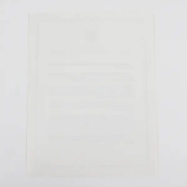 President Bill Clinton Biography Single Page Fact Sheet First Term