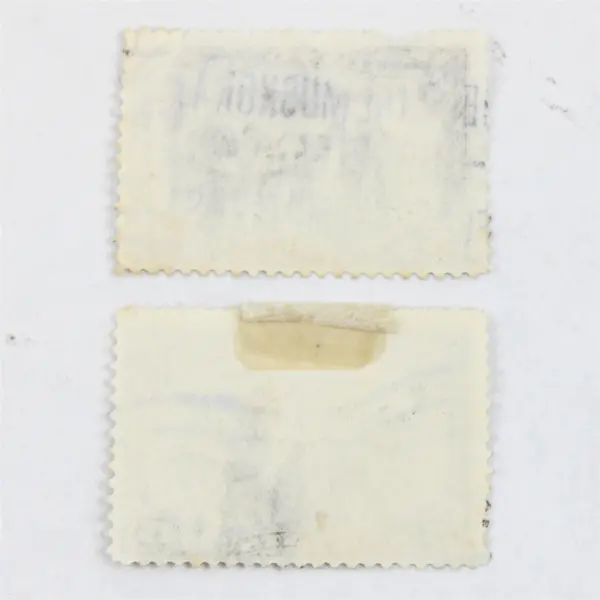 Set Of 2 1928 Canada 5 Cent Airmail Stamps Used Muskoka Hospital Postmark