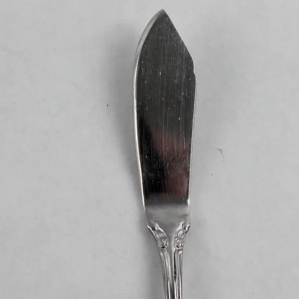 Vintage Breton Rose Stainless Steel Butter Knife Glossy