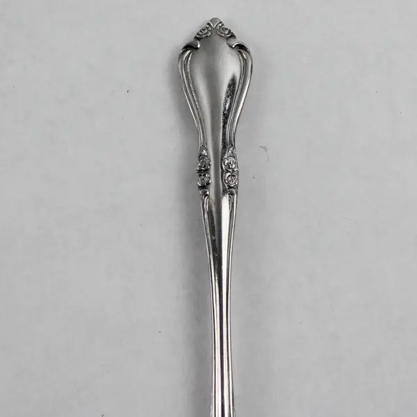 Vintage Breton Rose Stainless Steel Butter Knife Glossy