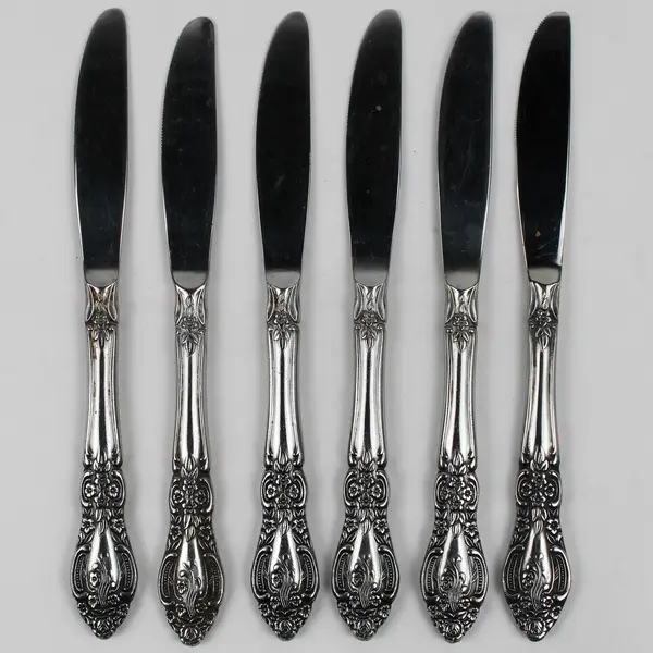 Set of 6 Vintage Springtime Stainless Steel Modern Solid Dinner Knives