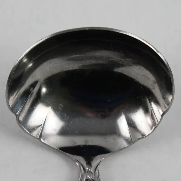 Vintage Springtime Stainless Steel Gravy Ladle
