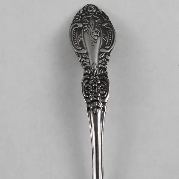 Vintage Springtime Stainless Steel Gravy Ladle