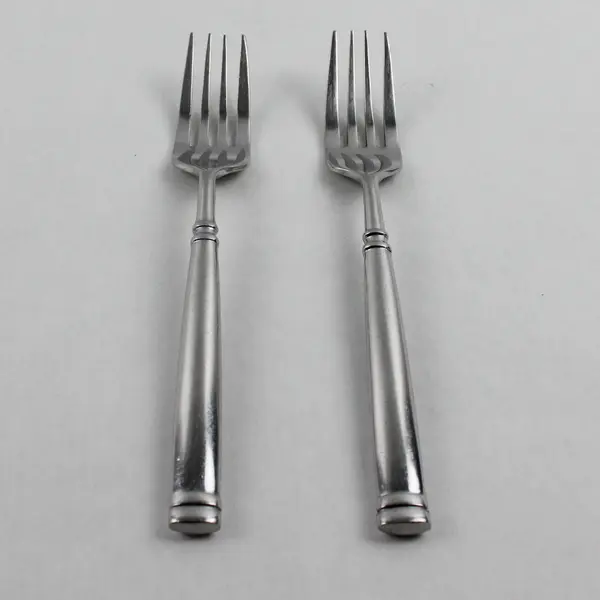 Lot of 2 Cambridge Silver Meridian Pattern Salad Forks Stainless 6.75" Good