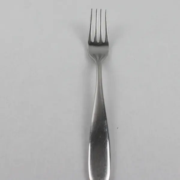 Robert Welch Stanton Mirror Pattern 18/10 Stainless 8" Dinner Fork Good