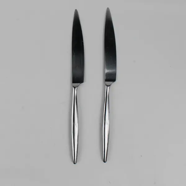Lot of 2 Gourmet Settings Ellipse 'New French' Solid Knife Stainless Steel
