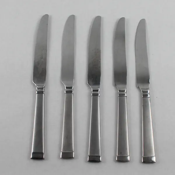 Lot Of 5 Mikasa Taylor Frost (Stainless) Flatware Dinner Knives 9.5" Long