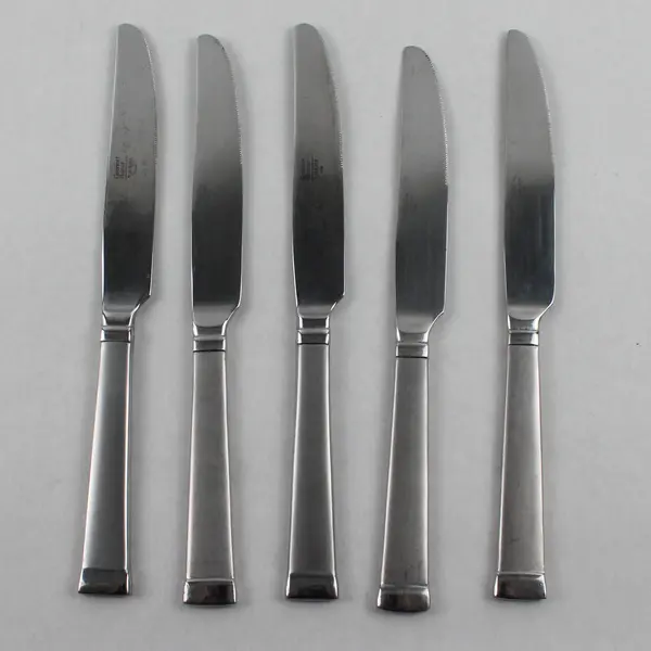Lot Of 5 Mikasa Taylor Frost (Stainless) Flatware Dinner Knives 9.5" Long