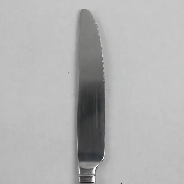 Lot Of 5 Mikasa Taylor Frost (Stainless) Flatware Dinner Knives 9.5" Long