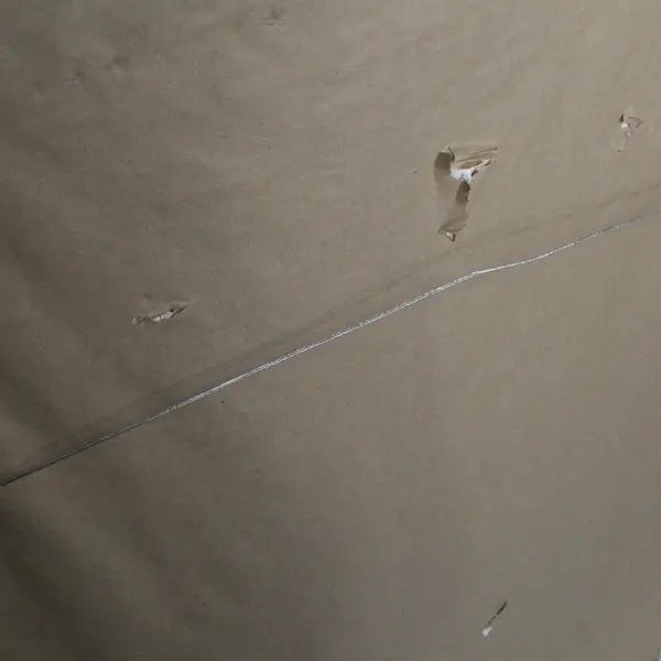 Claude Monet Purple Poppies Art Print Matted and Framed