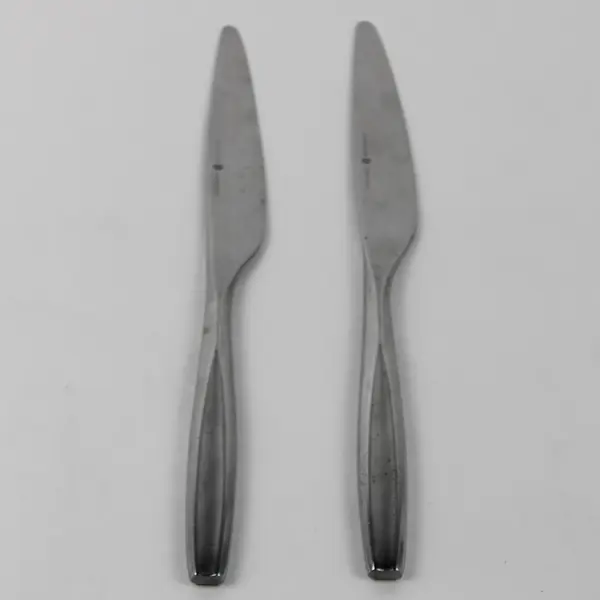 Lot Of 2 Gourmet Settings Beam Pattern Dinner Knives 9.25" Good