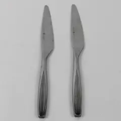 Lot Of 2 Gourmet Settings Beam Pattern Dinner Knives 9.25" Good