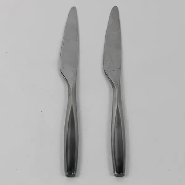 Lot Of 2 Gourmet Settings Beam Pattern Dinner Knives 9.25" Good
