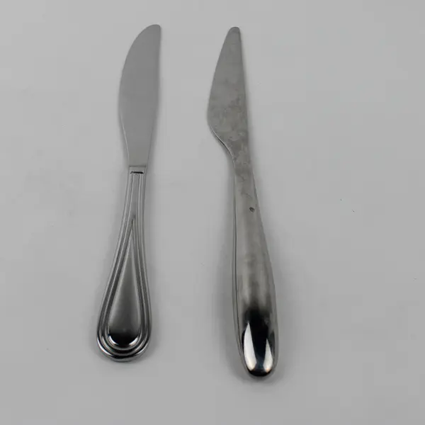 Lot of 2 Gourmet Settings Stainless Unknown Pattern Dinner Knives