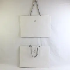 Lot of 2 Apple Store Shopping Bag White Paper with Woven Handles 15.5"x11"