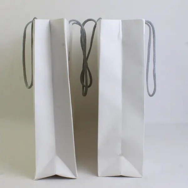 Lot of 2 Apple Store Shopping Bag White Paper with Woven Handles 15.5"x11"