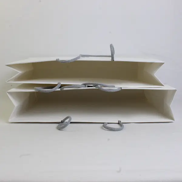 Lot of 2 Apple Store Shopping Bag White Paper with Woven Handles 15.5"x11"