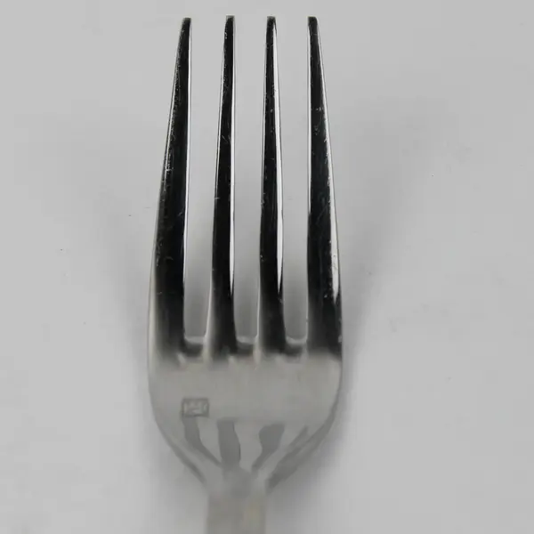 Fortessa Unknown Pattern 18/10 Stainless Steel Dinner Fork 8"