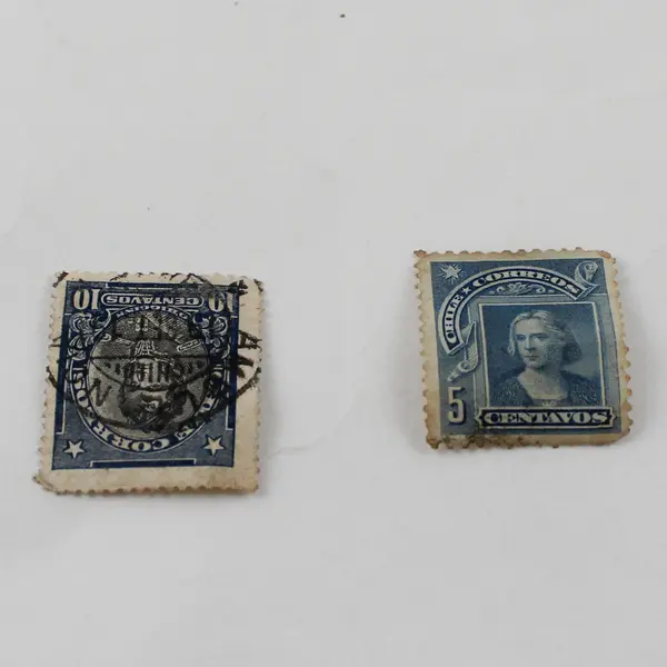 Lot Of 7 South America Stamps Brazil Ecuador Colombia Chile Argentina 1890-1930s