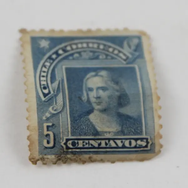 Lot Of 7 South America Stamps Brazil Ecuador Colombia Chile Argentina 1890-1930s