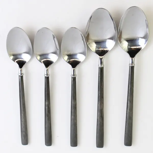 Lot Of 5 Hampton Silversmiths Carrara Enamel-Black (Stainless) Flatware Spoons