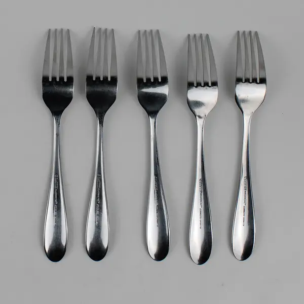 Lot Of 5 Hampton Silversmiths Erin (Stainless) Flatware Dinner Forks 8.25" Long