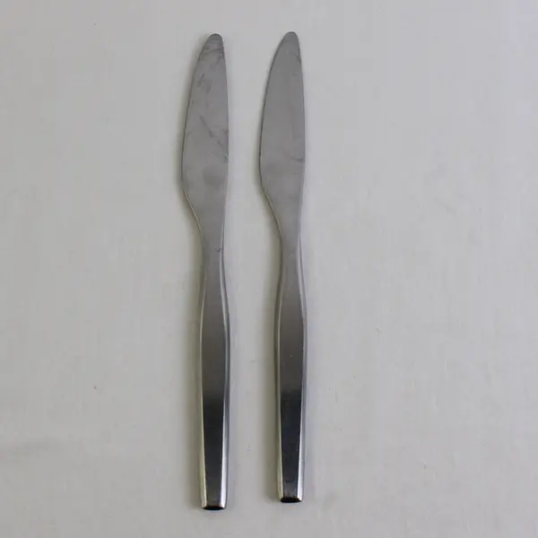 Lot of 2 Gourmet Settings Dinner Knife Stainless Steel Satin Silverware Flatware
