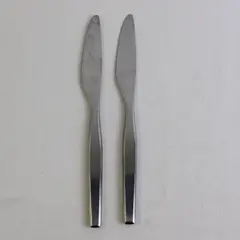 Lot of 2 Gourmet Settings Dinner Knife Stainless Steel Satin Silverware Flatware