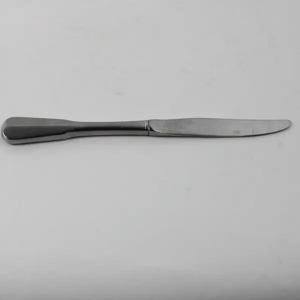 Lot Of 4 Oneida Silver Colonial Artistry Stainless Flatware Dinner Knives 9.25"