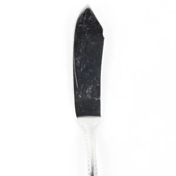 Wallace Silver Array Pattern 18/10 Stainless Butter Knife 7" Rare Piece