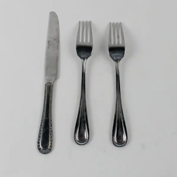 Lot Of 3 Cuisinart Flatware Hailey (Stainless) Flatware 2 Dinner Forks & 1 Knife