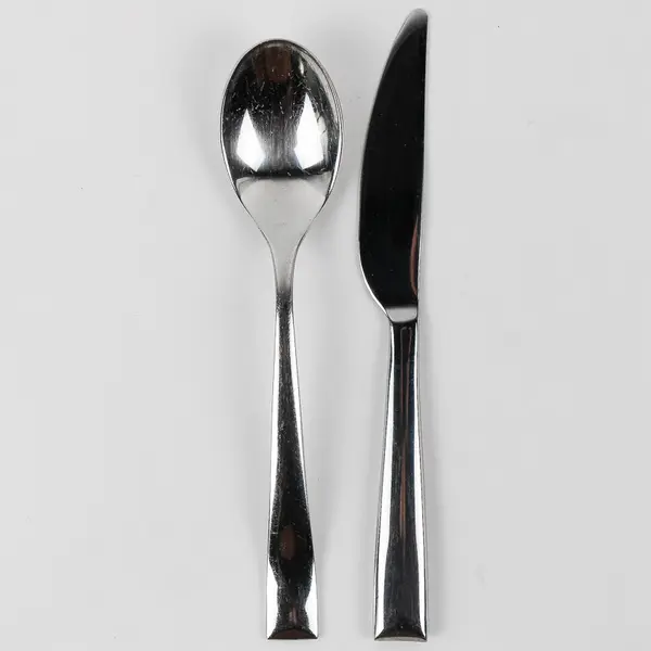 Lot of 2 Gourmet Settings Soprano Pattern Stainless Butter Knife & Teaspoon Rare