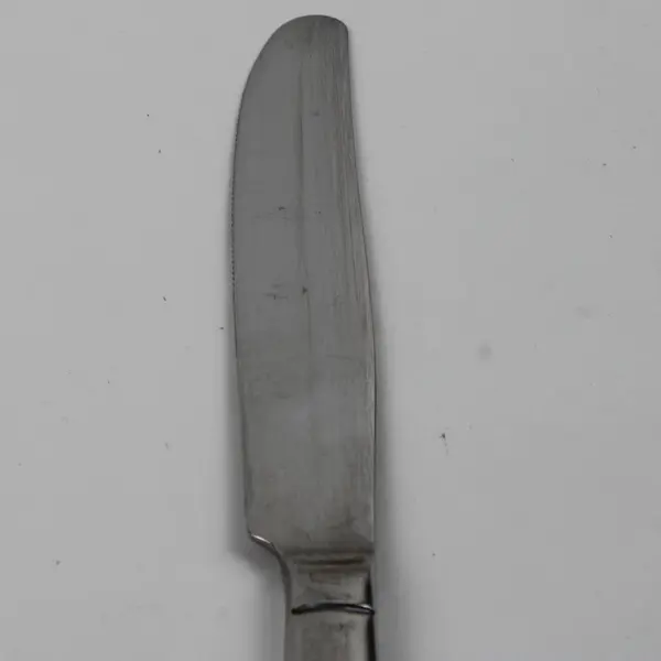 Wallace Silver Julienne Pattern Stainless Dinner Knife 8.75" Long Rare Find