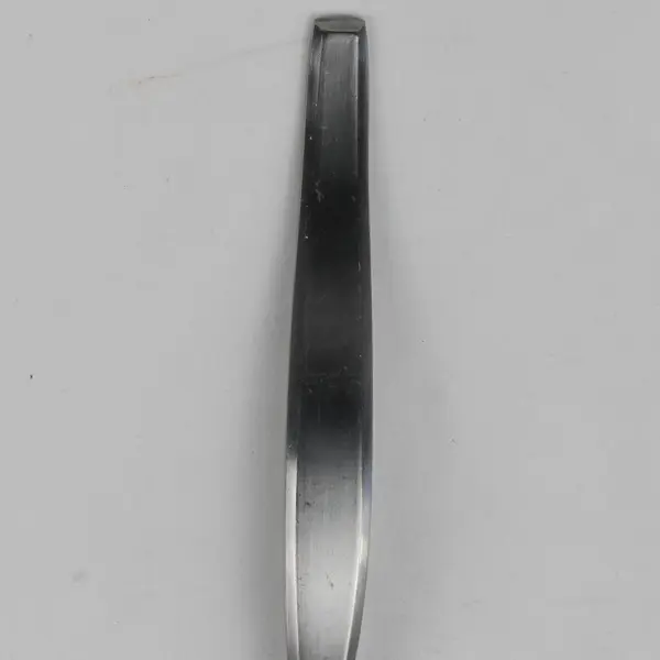 Gourmet Settings  Frame Tablespoon 6.75" Flatware