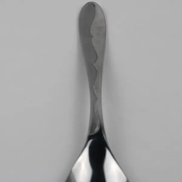 Lot Of 2 Oneida Silver Inspire (Stainless) Flatware Serving Fork & Spoon