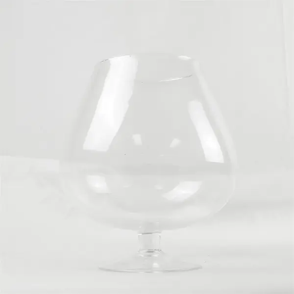 Large Clear Glass Brandy Snifter Terrarium Bowl 9in Tall Decorative