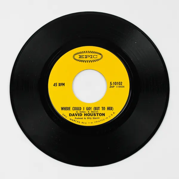 DAVID HOUSTON A Loser's Cathedral 45 7" COUNTRY Vinyl Record Epic Records