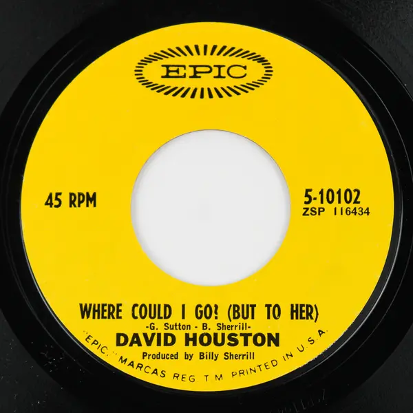 DAVID HOUSTON A Loser's Cathedral 45 7" COUNTRY Vinyl Record Epic Records