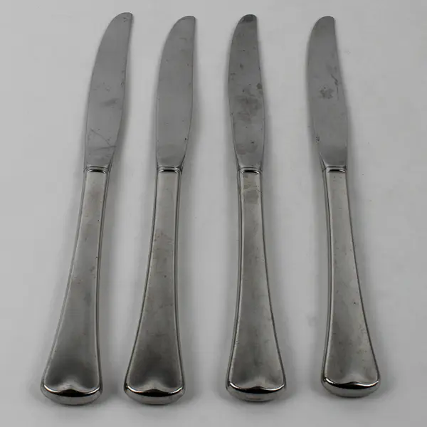 Lot Of 4 Oneida Canada/Distinction (Stainless) Flatware Dinner Knives 9" Long
