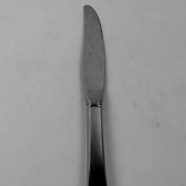 Lot Of 4 Oneida Canada/Distinction (Stainless) Flatware Dinner Knives 9" Long