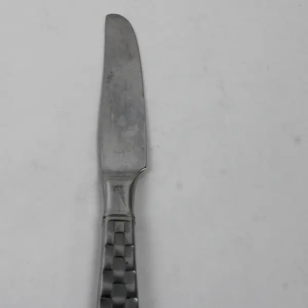 Lot Of 4 Oneida Silver Checkers (Stainless) Flatware Dinner Knives 9.75" Long