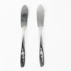 Lot of 2 Oneida Wm A Rogers Sweet Briar Stainless Butter Knife Flatware